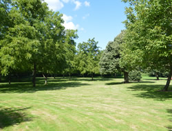 Paddock Area