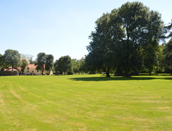 Stable Paddock Area