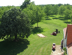 View from the Tower Apartment